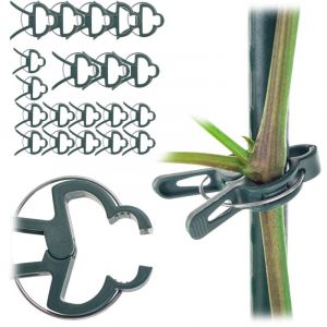 Clips Clips pour tomates plantes pousses de haricots tiges Clips Clip 20 pi&egrave;ces