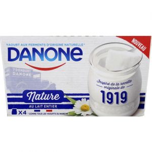 Danone Yaourt au lait entier nature