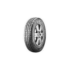 Michelin Pneu utilitaire hiver : 215/70 R15 109R Agilis X-Ice North