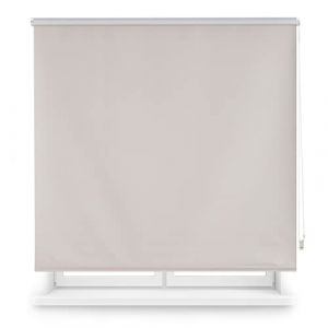 Blindecor Draco Store Enrouleur Opaque - Gris argent, 100 x 230 cm (largeur x hauteur) | Taille du tissu 97 x 225 cm | Stores thermiques occultants