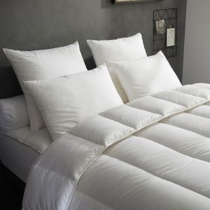 Dodo Lot de 2 Oreillers Top Soutien - Ferme 50/70 Blanc