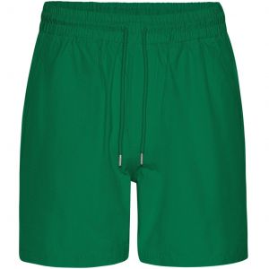 Short Colorful Standard Twill Kelly Green