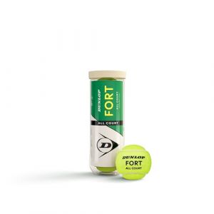 Dunlop Fort All Court Tube De 3