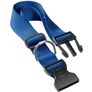 Ferplast Club C15/44 Bleu Collier en Nylon pour Chiens, Règlable de 30 à 44Cm largeur 15 mm
