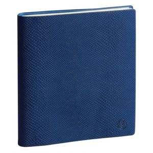 Exacompta 1800147E - Agenda semainier de bureau SAD 18S Kaa - 15 x 17 cm - Septembre 2024 à décembre 2025-16 mois - Coloris assortis