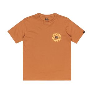Quiksilver Evo Road End - T-shirt &agrave; manches courtes pour Gar&ccedil;on 8-16 Marron - Taille 8