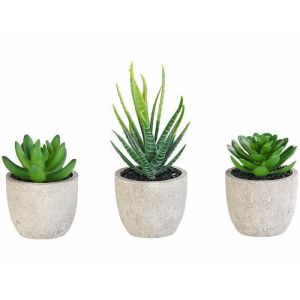 Carlo milano : 3 succulentes artificielles en pots 8 / 9 / 15 cm