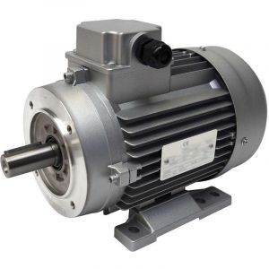 Almo Nature Moteur électrique 230/400V, 1.1Kw, 1000 tr/mn - B14