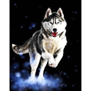 Figured'Art Peinture par Num&eacute;ro Adulte Husky - Activit&eacute; Manuelle Kit de Loisir Cr&eacute;atif DIY Num&eacute;ro d'Art Complet - 40x50cm sans ch&acirc;ssis en bois