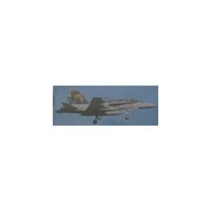 Hasegawa Maquette F/A-18C Hornet VFA-192 Golden Dragons 2007 - Echelle 1:72