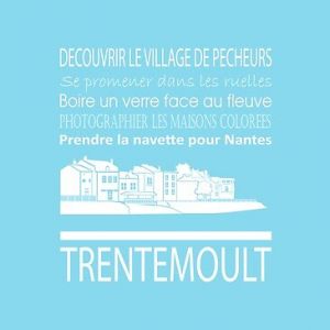 Artis Toile 30x30 trentemoult glaci