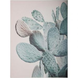 Image de Toile Imprimée "Cactus" 79cm Beige Prix