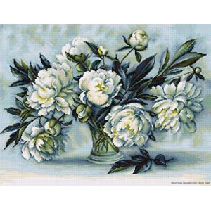 Lucas S LB517 Kit pour Point de Croix Compté Motif Pivoines Blanc 38 x 51 cm