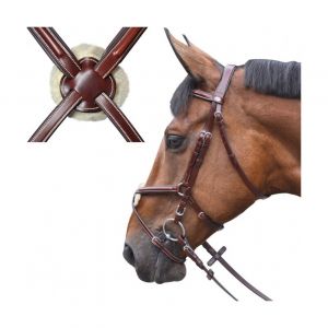 Lexington Bridons équitation austin croisé