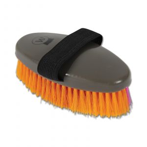 Waldhausen Brosse pour cheval avec présentoir de vente (x12)