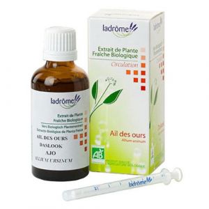 Image de Ladrôme Extrait de plantes fraîches : Ail des Ours - 50 ml