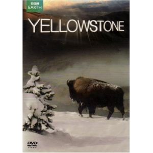 Image de BBC Earth : Yellowstone