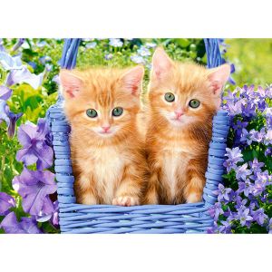 Image de Castorland Puzzle 260 pièces : Chatons Roux