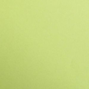 Clairefontaine 97152C - Etui de 25 feuilles de papier Maya, 120 g/m&sup2;, 50x70, coloris vert mousse