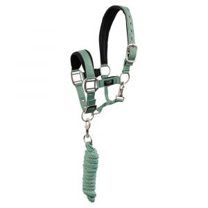 Ensemble licol et longe pour poney BR Equitation