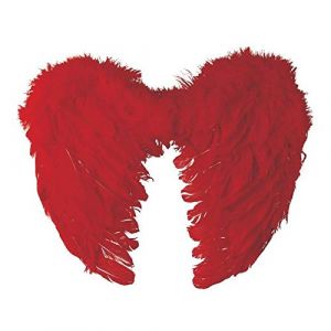Widmann P'TIT Clown re91123 - Ailes d'ange en plumes 40 x 32 cm, rouge