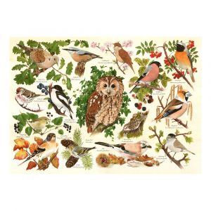 Pièces XXL - Oiseaux Des Bois