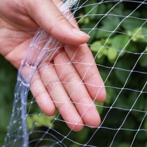 Filet de Protection pour Chat Balcon Fenêtre 5 x 5 m Transparent Sans Perçage