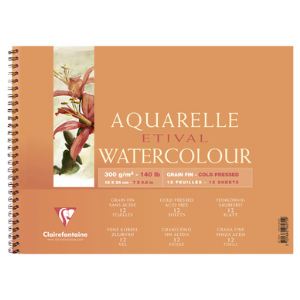 Image de Clairefontaine 96073C - Carnet spiralé Etival de 12 feuilles de papier 300 g (36 x 48 cm)