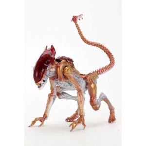 Neca Figurine D'action 7" Aliens - Panther Alien [Kenner Tribute Hommage]