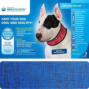 Aqua Coolkeeper Collier rafraîchissant bleu pour chien 42/53 x 6 cm