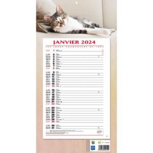 Calendrier mensuel sur plaque - 19 x 36 cm - thème animaux