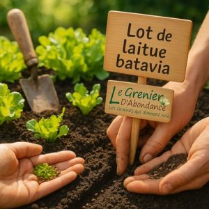 Lot De 2000 Graines &Agrave; Semer - Le Grenier D'abondance - Fan De Laitues Batavia - 4 Vari&eacute;t&eacute;s