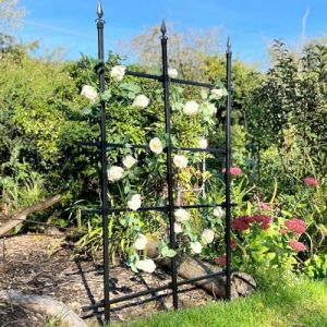 Treillis de Jardin & Clôture pour Rosier, Fleurs et Plante Grimpante Exterieur 180x150cm