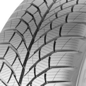 Viking WinTech NewGen - 195/65 R15 91T
