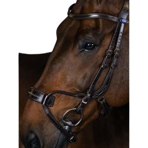 Bridon équitation PS of Sweden High Jump