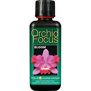 Growth Technology Ltd Orchid focus bloom 300ml