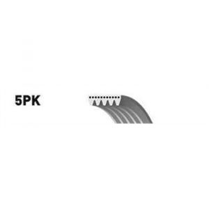 Gates Courroie d'accessoires 5PK1173