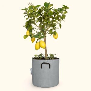 Image de Pot en g&eacute;otextile respirant gris - 30cm