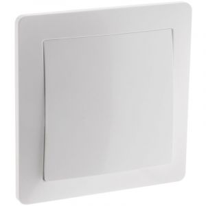 Zenitech - Bouton poussoir à voyant 10A - Blanc - Orys