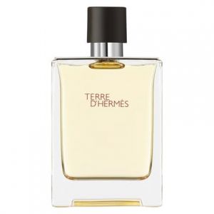 Herm&egrave;s Terre D ` EDT 100ml