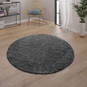Tapis Poils Longs Gris Anthracite Salon Shaggy R&eacute;sistant Doux Robuste 120 cm rond - Paco Home