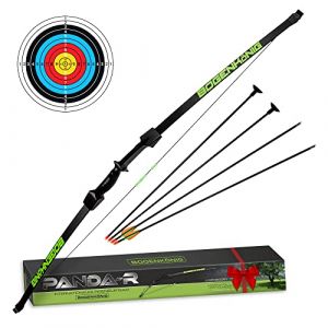 Set darc et fl&egrave;ches Bogenk&ouml;nig Enfants &agrave; partir de 7 Ans Force de Traction de 68 kg + Cible &agrave; Ventouse et Une fl&egrave;che avec Pointe