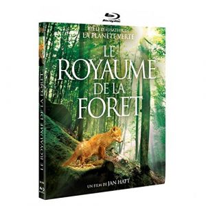 Image de Le Royaume De La Forêt [Blu-Ray]