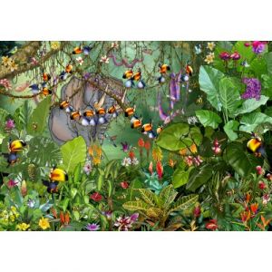 Grafika François Ruyer - Jungle