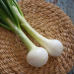 Graines d'Oignon Blanc h&acirc;tif de Paris - Prix malin/Sachet