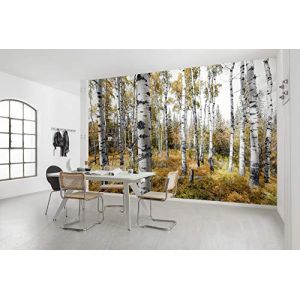 Komar Papier peint intissé Colorful Aspenwoods