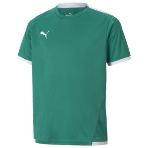 Image de Puma TeamLIGA Jersey Jr, Pepper Green White, 140