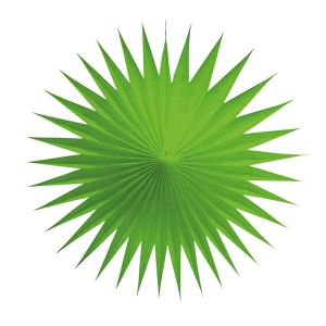 Ruedelafete Lot de 3 petits éventails alvéolés luxe 17 cm, Vert