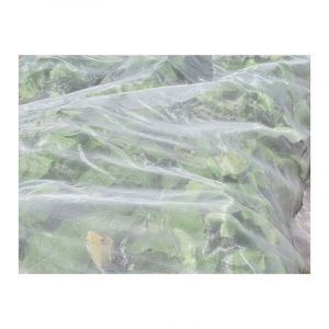 Filet anti-insectes 45gr/m² - Spécial Altise 4.4m x 10m Cristal