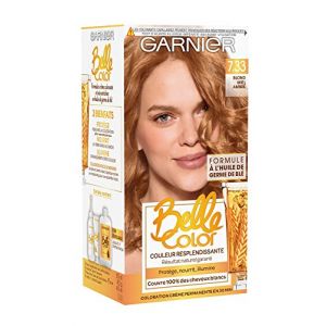 Image de Garnier 7.33 blond miel ambre